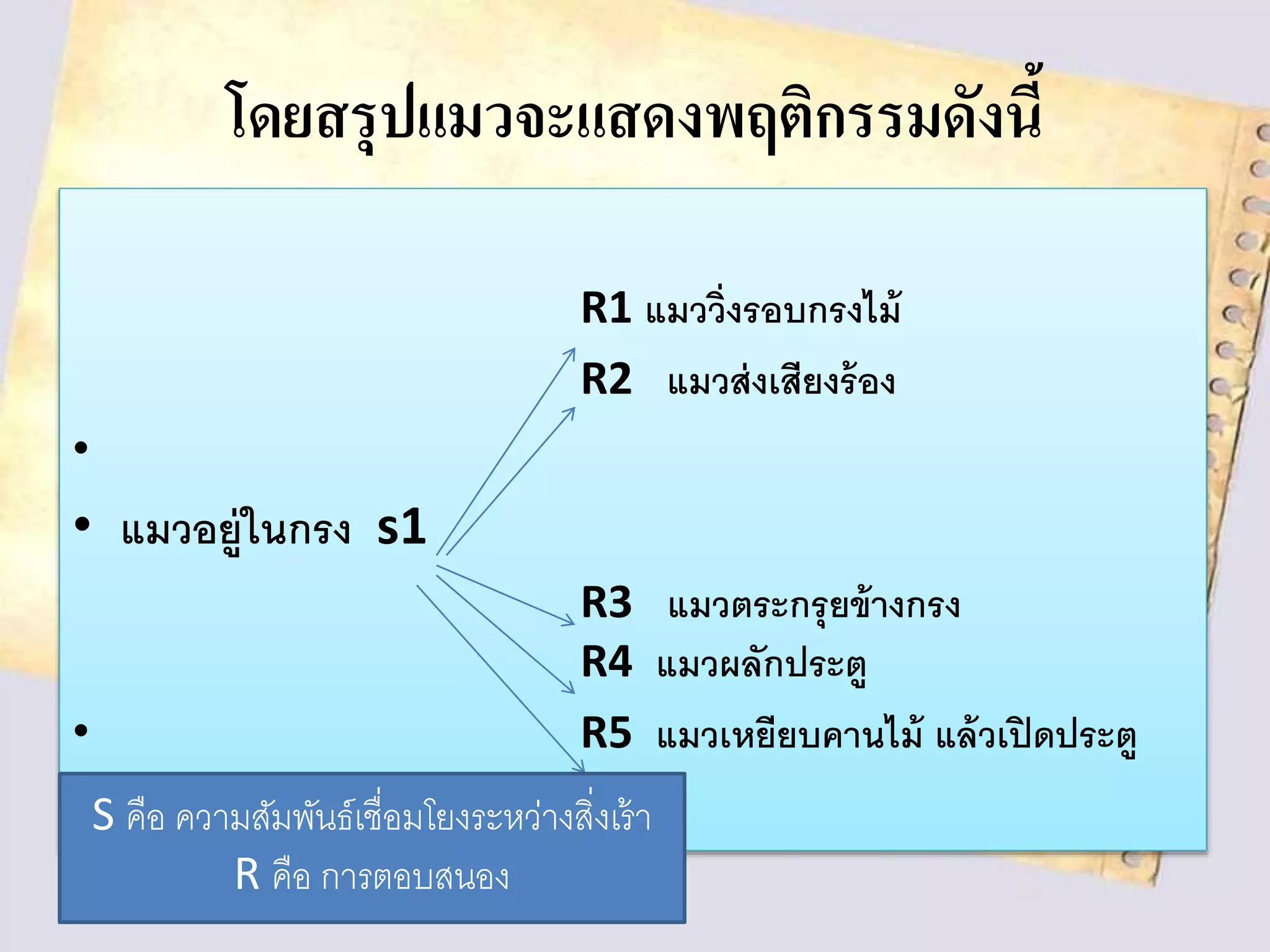 โดยสรุปแมวจะแสดงพฤติกรรมดังนี้
R1 แมววิ่งรอบกรงไม้
R2 แมวส่งเสียงร้อง
•
• แมวอยู่ในกรง s1
R3 แมวตระกรุยข้างกรง
R4 แมวผลักประตู
• R5 แมวเหยียบคานไม้ แล้วเปิดประตู
S คือ ความสัมพันธ์เชื่อมโยงระหว่างสิ่งเรา
R คือ การตอบสนอง
 