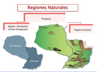 Paraguay
Región Occidental
(Chaco Paraguayo) Región Oriental
 