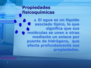 5
El agua es un líquido
asociado típico, lo que
significa que sus
moléculas se unen a otras
mediante un enlace por
puente de hidrógeno, que
afecta profundamente sus
propiedades.
Briseño
Propiedades
fisicoquímicas
 