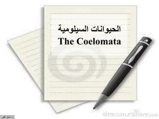 ‫السيلومية‬ ‫الحيوانات‬
The Coelomata
‫د‬.‫أكبر‬ ‫آمال‬
 