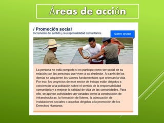 Áreas de acción
