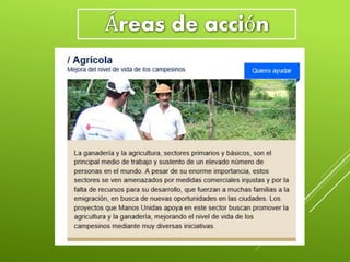 Áreas de acción