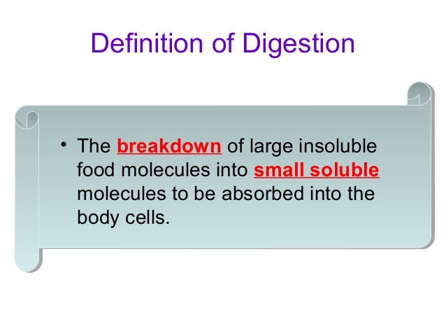 11. Human Digestive System - E-Learning