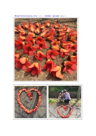▼路邊可看到落花被排成心形或「2016」，花團錦簇，畫面溫馨（五之一）
 