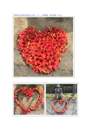 ▼路邊可看到落花被排成心形或「2016」，花團錦簇，畫面溫馨（五之二）
 