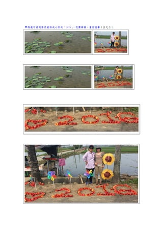 ▼路邊可看到落花被排成心形或「2016」，花團錦簇，畫面溫馨（五之三）
 