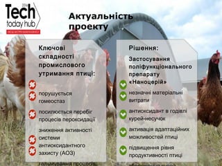 Образец подзаголовка
Актуальність
проекту
Ключові
складності
промислового
утримання птиці:
порушується
гомеостаз
посилюється перебіг
процесів пероксидації
зниження активності
системи
антиоксидантного
захисту (АОЗ)
гальмування процесів
Рішення:
Застосування
поліфункціонального
препарату
«Наноцерій»
незначні матеріальні
витрати
антиоксидант в годівлі
курей-несучок
активація адаптаційних
можливостей птиці
підвищення рівня
продуктивності птиці
 