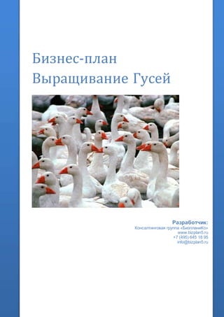 Бизнес-план
Выращивание Гусей
Разработчик:
Консалтинговая группа «БизпланиКо»
www.bizplan5.ru
+7 (495) 645 18 95
info@bizplan5.ru
 
