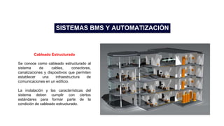 11.bms