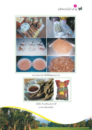 88
มหัศจรรย์ป่าสาคู
88
(สมาคมหยาดฝน เอื้อเฟื้อข้อมูลและภาพ)
กรือโป๊ะ ข้าวเกรียบปลาชาวใต้
(ภาพจากอินเทอร์เน็ต)
 