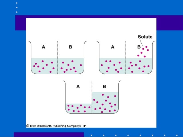 11. water balance and exercise performance