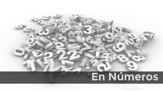 En Números
 