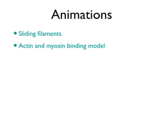 Animations
•Sliding filaments
•Actin and myosin binding model
 