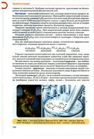 D Органічні сполуки
страви їх містять?). Особливо шкідливі продукти, приготовані на багато­
разово використовуваній або прогірклій олії.
Вуглеводи - важливий компонент їжі, потужне енергетичне джерело за­
безпечення життєдіяльності організму. Пригадайте: енергетичний потенці­
ал моносахариди глюкози CgHe реалізується внаслідок біохімічних перетво­
рень за участі АТФ {використовуючи знання з курсу біології, розтлумачте
цю абревіатуру). Отриману енергію організм використовує під час м’язових
скорочень, життєво важливих процесів, біосинтезу зокрема.
Тваринні організми здатні накопичувати в печінці водорозчинний полі­
сахарид глікоген (CeHioOs)^. Цей енергетичний резерв може бути швидко
мобілізований за необхідності компенсувати раптову нестачу глюкози.
Резервне джерело живлення рослин - запаси нерозчинних у воді зерен
крохмалю (CgHioOs)^ (які сільськогосподарські культури є джерелом цього
полісахариду?).
Під час перетравлювання крохмаль зазнає ступінчастого ферментатив­
ного гідролізу, кінцевим продуктом якого є глюкоза:
(СбНіо05)„^ (СбНіо05),І^^ Сі2Н220п-
крохмаль декстрини мальтоза
СдНігОб
глюкоза
Гідроліз крохмалю розпочинається ще в ротовій порожнині, тож, якщ,о
кілька хвилин ретельно жуватимете шматочок хліба або смаженої карто­
плі, відчуєте солодкий смак {перевірте це твердження експериментально).
Ви вже знаєте, що ізомер крохмалю - полісахарид целюлоза - має неабия­
ке значення як корм для свійських тварин і компонент здорового харчування
людини {у якому параграфі про це йшлося? Зверніться до нього за потреби).
Ізомер глюкози - фруктоза - важлива складова харчування людей з по­
рушеним обміном речовин. Лікувальні властивості меду й фруктів багато в
чому зумовлені наявністю цього моносахариду.
Дисахарид лактозу C12 H22O11 чи не кожний споживав у складі материн­
ського молока (мал. 15.5), а згодом - молочних продуктів різного походжен­
ня (незбиране коров’яче молоко, кефір, кумис... Доповніть цей перелік
Мал. 15.5. 1. Леонардода Вінчі. Мадонна Літта, 1490-1491. Темпера. Ермітаж,
Санкт-Петербург. 2. Дисахарид лактоза (від лат lactic - молоко) - молочний цукор
100
 