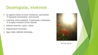 Összefoglalás, kitekintés
 Az egyénen belüli és kívüli rendszerek, szervezetek
 helyzetek értelmezése, intervenciók
 Coaching: színes eszköztár  belenyúlás a hálózatba
 az egész rendszert érintő változás
 Határok ismerete: coach + kliens
 Stigmatizáció elnyomása
 Egyre több, többféle lehetőség…
Kép forrása: saját fotó
 