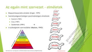 Az egyén mint szervezet - elméletek
 Biopszichoszociális elmélet (Engel, 1979)
 Személyiségpszichológiai (pszichobiológai) elméletek
 Eysenck (1965)
 Gray (1987)
 Zuckerman (1991) 
 A szükségletek szerveződése (Maslow, 1943)
Kép forrása: http://ejva-blog.oden.hu/2015/08/22/abraham-maslow-motivacios-szukseglethierarchiaja/
Vonások
Társas
viselkedés
Kondicionálás
Genetika
Neurológia
Biokémia
Fiziológia
 
