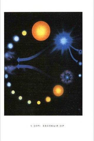 V. З О Р І . Е В О Л Ю Ц І Я З І Р
 