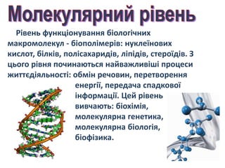Рівень функціонування біологічних
макромолекул - біополімерів: нуклеїнових
кислот, білків, полісахаридів, ліпідів, стероїдів. З
цього рівня починаються найважливіші процеси
життєдіяльності: обмін речовин, перетворення
енергії, передача спадкової
інформації. Цей рівень
вивчають: біохімія,
молекулярна генетика,
молекулярна біологія,
біофізика.
 