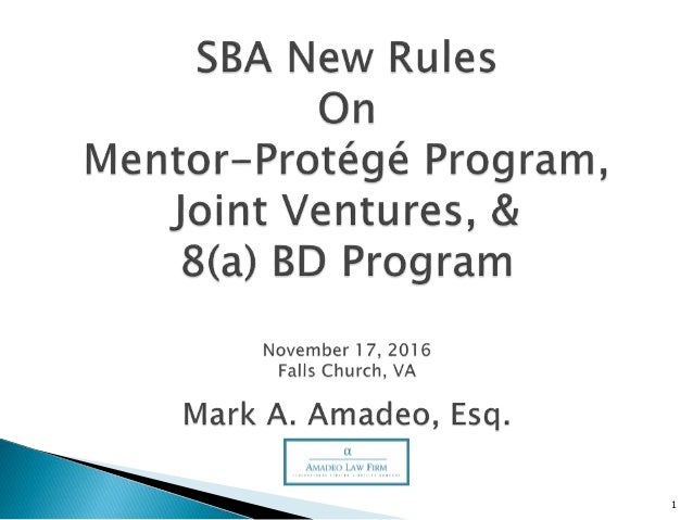 sba mentor protege program