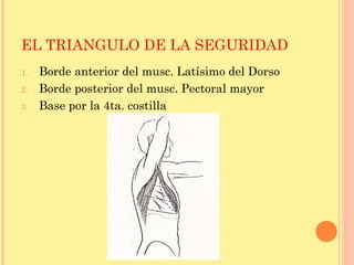EL TRIANGULO DE LA SEGURIDAD
1. Borde anterior del musc. Latísimo del Dorso
2. Borde posterior del musc. Pectoral mayor
3. Base por la 4ta. costilla
 