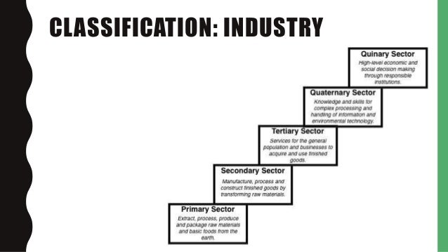 11.1.2 Types of businesses - Industry sectors