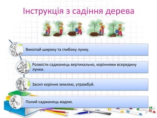 Інструкція з садіння дерева
Викопай широку та глибоку лунку.
Розмісти саджанець вертикально, коріннями всередину
лунки.
Засип коріння землею, утрамбуй.
Полий саджанець водою.
16.02.2017 12
 