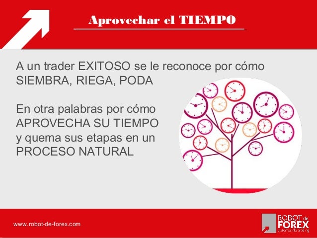 Pablo ortiz forex