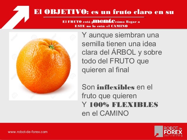 Pablo ortiz forex