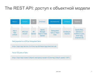 The REST API: доступ к объектной модели
DEVNET-2000 11
 