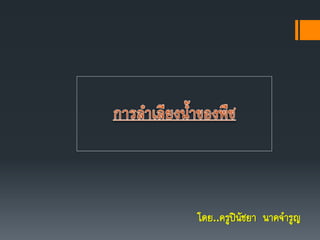 โดย..ครูปินัชยา นาคจารูญ
 