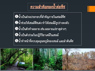 นาเป็นส่วนประกอบที่สาคัญภายในเซลล์พืช
นาช่วยให้เซลล์พืชเต่งทาให้เซลล์มีรูปร่างคงตัว
นาเป็นตัวทาละลายเช่นละลายแร่ธาตุต่างๆ
นาเป็นตัวร่วมในปฏิกิริยาเคมีในเซลล์
นาทาหน้าที่ควบคุมอุณหภูมิของเซลล์ และลาต้นพืช
 