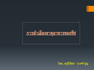 โดย..ครูปินัชยา นาคจารูญ
 