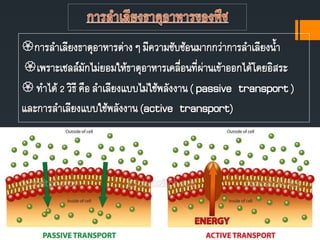 การลาเลียงธาตุอาหารต่างๆ มีความซับซ้อนมากกว่าการลาเลียงนา
เพราะเซลล์มักไม่ยอมให้ธาตุอาหารเคลื่อนที่ผ่านเข้าออกได้โดยอิสระ
 ทาได้ 2 วิธี คือลาเลียงแบบไม่ใช้พลังงาน( passive transport)
และการลาเลียงแบบใช้พลังงาน (active transport)
 