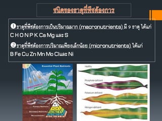 ธาตุที่พืชต้องการเป็นปริมาณมาก(macronutrients)มี 9 ธาตุ ได้แก่
C H O N P K CaMg และ S
ธาตุที่พืชต้องการปริมาณเพียงเล็กน้อย(micronutrients)ได้แก่
B FeCuZnMn Mo ClและNi
 