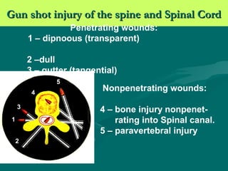 Injury of Spinal cord | PPT