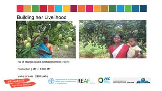 Building her Livelihood
No of Mango based Orchard families : 6074
Production ( MT) : 1200 MT
Value of sale : 240 Lakhs
 