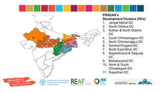 PRADAN’s
Development Clusters (DCs)
1. Jangal Mahal DC
2. South Odisha DC
3. Kolhan & North Odisha
DC
4. South Chhotanagpur DC
5. North Chhotanagpur DC
6. Santhal Pargana DC
7. North East Bihar DC
8. Baghelkhand & Satpuda
DC
9. Mahakaushal DC
10. North & South
Chhattisgarh DC
11. Rajasthan DC
 