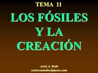 LOS FÓSILES
Y LA
CREACIÓN
Ariel A. Roth
sciencesandscriptures.com
TEMA 11
 