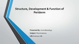 Structure, Development & Function of
Periderm
Presented By: Uzma Batool(34)
Subject: Plant Anatomy
Life Sciences, IUB.
 