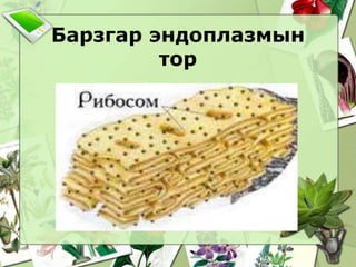 D. Ariunaa | PPT