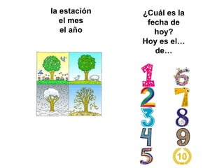 ¿Cuál es la
fecha de
hoy?
Hoy es el…
de…
la estación
el mes
el año
 