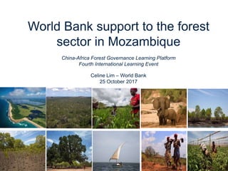 World Bank support to the forest
sector in Mozambique
China-Africa Forest Governance Learning Platform
Fourth International Learning Event
Celine Lim – World Bank
25 October 2017
 