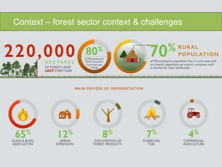 Context – forest sector context & challenges
 