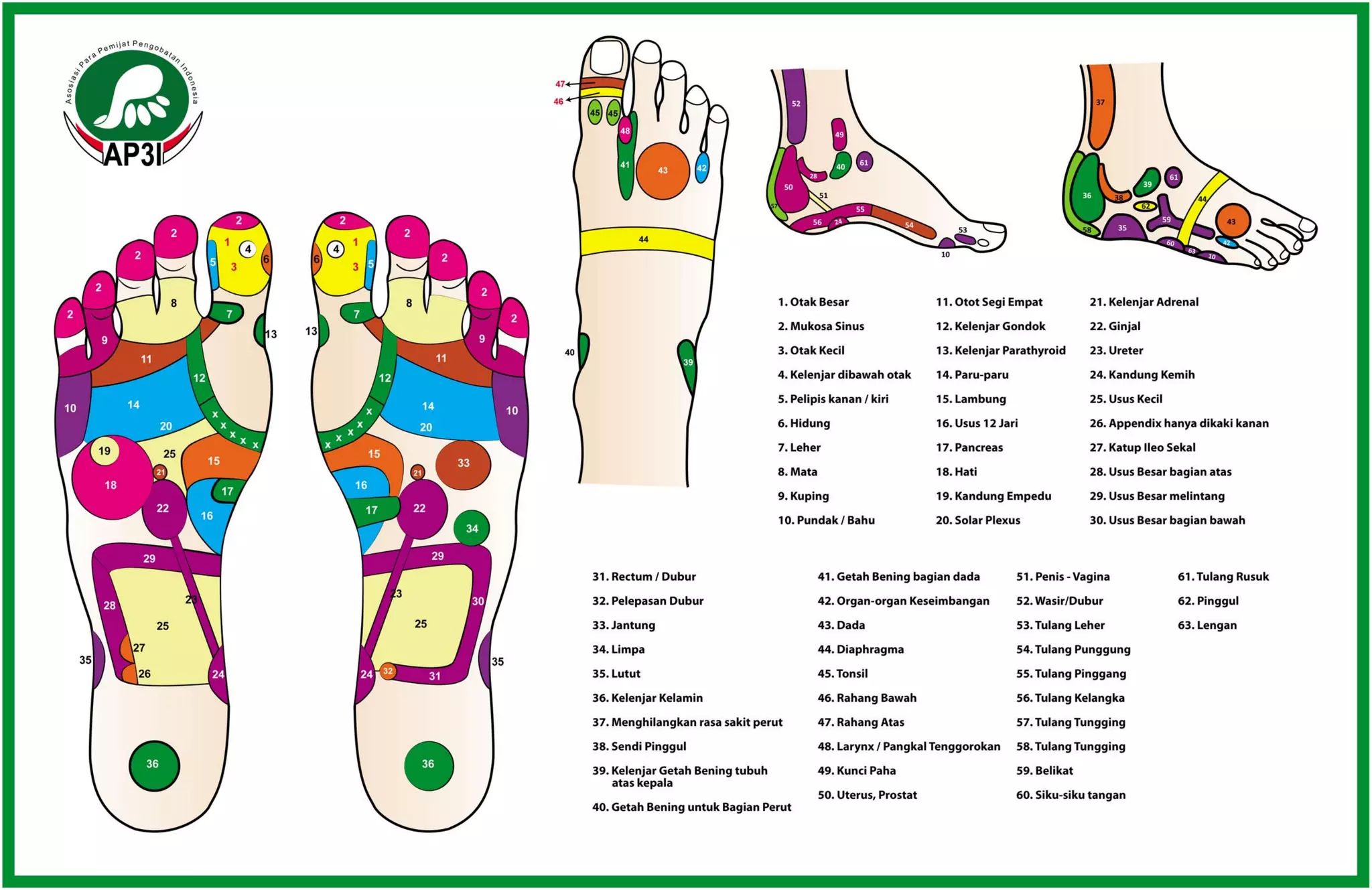 11. ref reflexology chart PPT Free Download