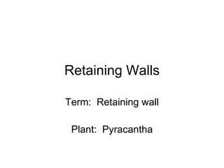 Retaining Walls Term:  Retaining wall Plant:  Pyracantha 