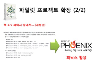 책 177 페이지 중에서… (개정판)
피닉스 활용
파일럿 프로젝트 확장 (2/2)
 