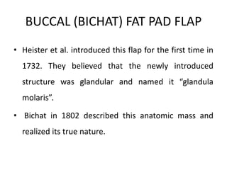 • Heister et al. introduced this flap for the first time in
1732. They believed that the newly introduced
structure was glandular and named it “glandula
molaris”.
• Bichat in 1802 described this anatomic mass and
realized its true nature.
BUCCAL (BICHAT) FAT PAD FLAP
 