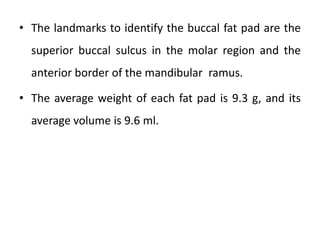 • The landmarks to identify the buccal fat pad are the
superior buccal sulcus in the molar region and the
anterior border of the mandibular ramus.
• The average weight of each fat pad is 9.3 g, and its
average volume is 9.6 ml.
 
