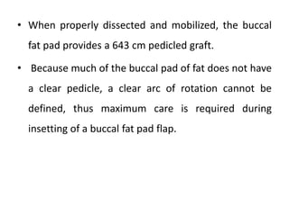 • When properly dissected and mobilized, the buccal
fat pad provides a 643 cm pedicled graft.
• Because much of the buccal pad of fat does not have
a clear pedicle, a clear arc of rotation cannot be
defined, thus maximum care is required during
insetting of a buccal fat pad flap.
 