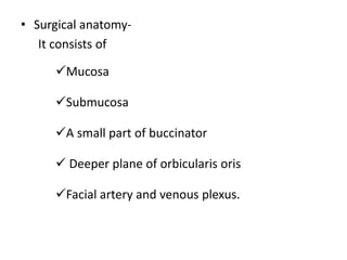 • Surgical anatomy-
It consists of
Mucosa
Submucosa
A small part of buccinator
 Deeper plane of orbicularis oris
Facial artery and venous plexus.
 